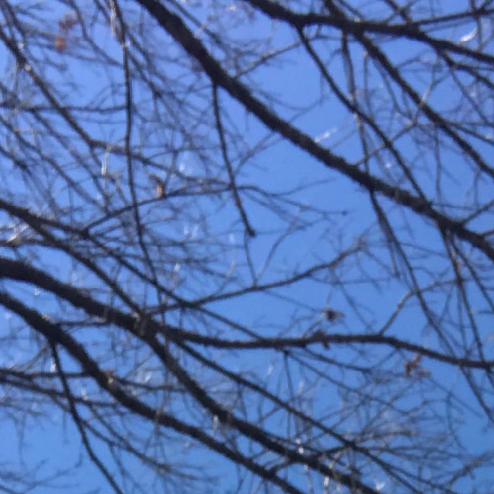 Meet your Posher, Jenny